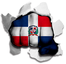 Fist Dominican Republic Flag Logo heat sticker