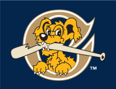 Charleston Riverdogs 2011-2015 Cap Logo 3 heat sticker