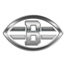 Cleveland Browns Silver Logo heat sticker