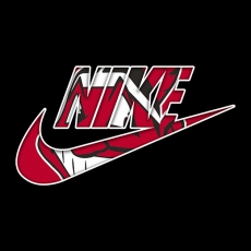 Cleveland Indians Nike logo heat sticker