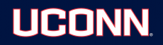 UConn Huskies 2013-Pres Wordmark Logo 05 custom vinyl decal