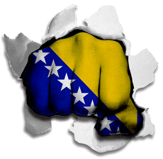 Fist Bosnia And Herzegovina Flag Logo heat sticker