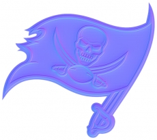 Tampa Bay Buccaneers Colorful Embossed Logo heat sticker