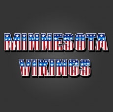 Minnesota Vikings American Captain Logo heat sticker