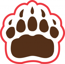 Brown Bears 1997-Pres Secondary Logo heat sticker