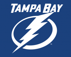 Tampa Bay Lightning 2011 12-Pres Wordmark Logo custom vinyl decal