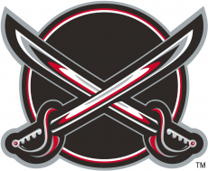 Buffalo Sabres 2000 01-2005 06 Alternate Logo heat sticker
