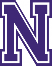 Northwestern State Demons 2000-2007 Alternate Logo heat sticker
