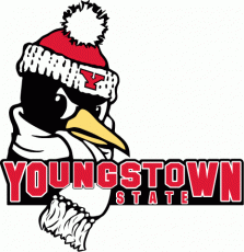 Youngstown State Penguins 1993-2005 Primary Logo heat sticker