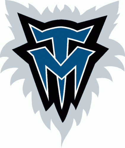 Minnesota Timberwolves 1996-2007 Alternate Logo heat sticker