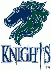 Charlotte Knights 1999-2013 Primary Logo heat sticker