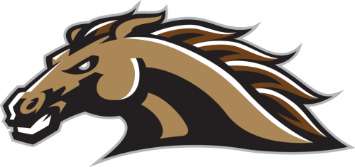 Western Michigan Broncos 1998-2015 Secondary Logo 01 heat sticker