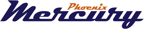 Phoenix Mercury 2011-Pres Wordmark Logo heat sticker