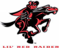 Texas Tech Red Raiders 2000-Pres Mascot Logo heat sticker