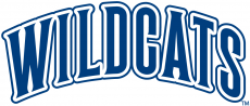 Villanova Wildcats 1996-Pres Wordmark Logo 02 custom vinyl decal