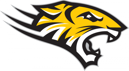 Towson Tigers 2004-Pres Alternate Logo 02 heat sticker