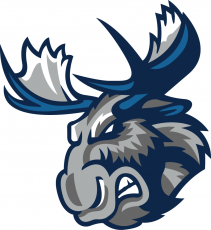 Manitoba Moose 2015 16-Pres Secondary Logo custom vinyl decal