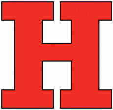 Hartford Hawks 1984-Pres Alternate Logo heat sticker