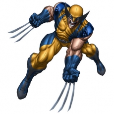 Wolverine Logo 01 heat sticker