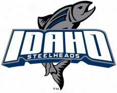 Idaho Steelheads 2006 07-2010 11 Alternate Logo heat sticker