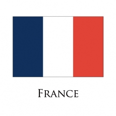 France flag logo heat sticker