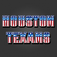 Houston Texans American Captain Logo heat sticker