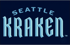 Seattle Kraken 2021 22-Pres Wordmark Logo 02 custom vinyl decal