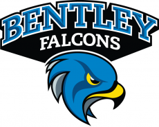 Bentley Falcons 2013-Pres Alternate Logo 02 heat sticker