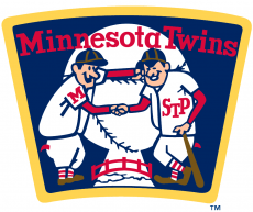 Minnesota Twins 2009-Pres Alternate Logo heat sticker