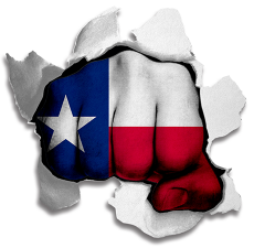 Fist Texas State Flag Logo heat sticker