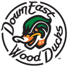 Down East Wood Ducks 2017-Pres Primary Logo heat sticker