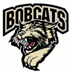 Bismarck Bobcats 2006 07-Pres Primary Logo heat sticker