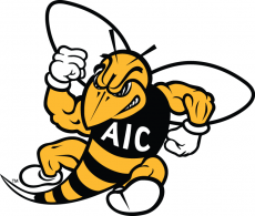 AIC Yellow Jackets 2009-Pres Secondary Logo custom vinyl decal