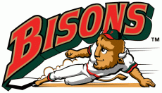 Buffalo Bisons 1998-2008 Primary Logo heat sticker