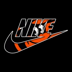 Baltimore Orioles Nike logo heat sticker