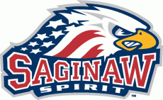 Saginaw Spirit 2002 03-Pres Primary Logo heat sticker