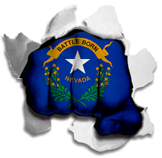 Fist Nevada State Flag Logo heat sticker