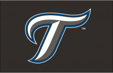 Toronto Blue Jays 2007-2011 Cap Logo heat sticker