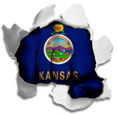 Fist Kansas State Flag Logo heat sticker