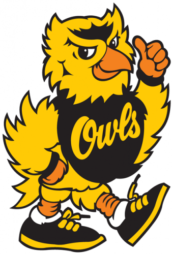 Kennesaw State Owls 1992-2011 Mascot Logo custom vinyl decal