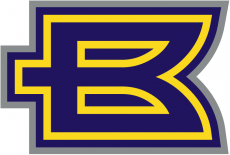 Birmingham Thunderbolts 2001 Alternate Logo 2 heat sticker