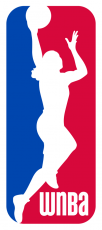 WNBA 2013-2019 Alternate Logo heat sticker