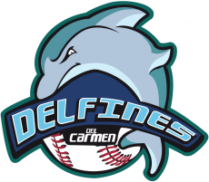 Carmen Delfines 2012-Pres Primary Logo heat sticker