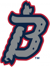 Binghamton Rumble 2017-Pres Alternate Logo 4 heat sticker