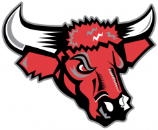 Nebraska-Omaha Mavericks 1997-2003 Secondary Logo heat sticker