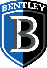 Bentley Falcons 2013-Pres Secondary Logo heat sticker