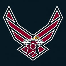 Airforce Miami Heat Logo heat sticker