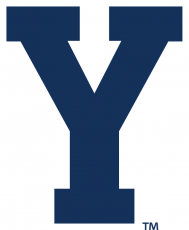 Brigham Young Cougars 2005-Pres Secondary Logo heat sticker