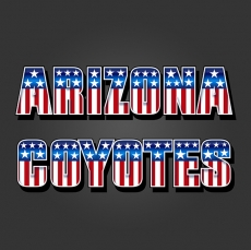 Arizona Coyotes American Captain Logo custom vinyl decal