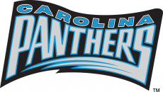Carolina Panthers 1995 Wordmark Logo 01 heat sticker